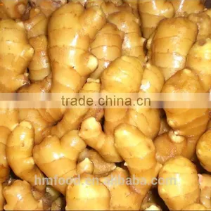 Good Quality Dehydrated Ginger Slices thumbnail-5