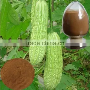 GMP Natural High Quality Bitter Melon Extract Powder/Charantin thumbnail-2