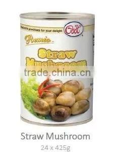 Straw Mushroom thumbnail-1