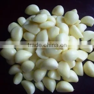 Frozen Garlic thumbnail-5