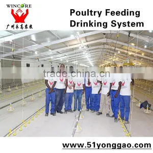 Automatic Poultry Pan Feeding System for Broiler Farm Equipment thumbnail-2
