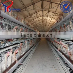 Broiler Medicine thumbnail-6