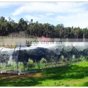 Bird Repellent Netting thumbnail-1