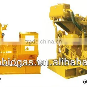 Competitive Price Chinese 50kw Biogas Electric Generator With CHP System thumbnail-1