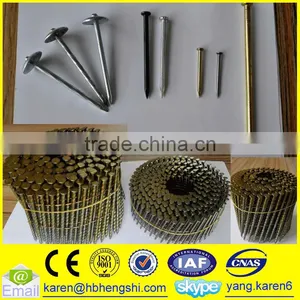 Umbrella Head Iron Nails, Galvanized Nails, Iron Nails,coil Nails, Nails Supplier thumbnail-3
