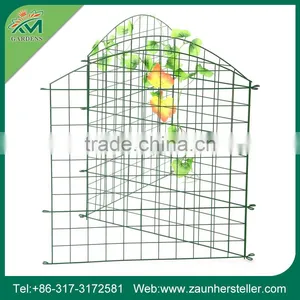 Get $1000 Coupon Lawn Edging Fencing thumbnail-3