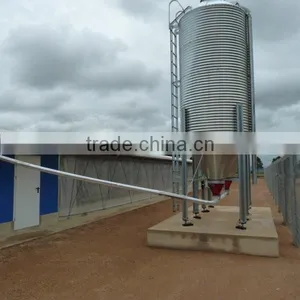 New Design Chicken Shed thumbnail-6