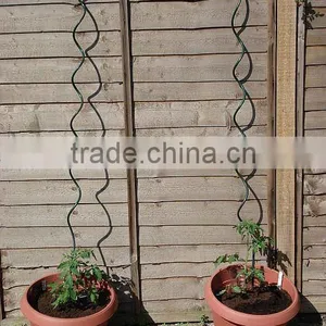 Tomato Spirals Wire thumbnail-1