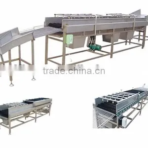 Newest Hot Sale Stainless Steel Potato Washing Machine thumbnail-1
