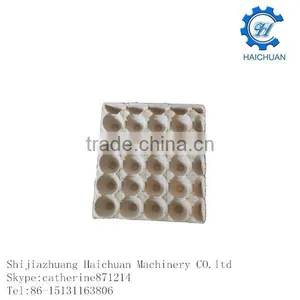 Paper Pulp Tray Packing thumbnail-1