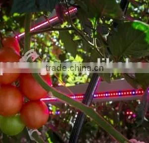 High PAR Interlighting 150W LED Grow Light Bar thumbnail-2