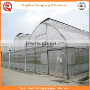 Agriculture Equipment Multi-span 6.0m Plastic PE Film Agriculture Greenhouse for Sale thumbnail-4