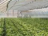 Attractive and Durable Greenhouse thumbnail-1