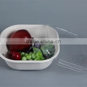 Thermofoamed Fiber Biodegradable Compostable Sugarcane Food Containers/boxes With Lids thumbnail-3