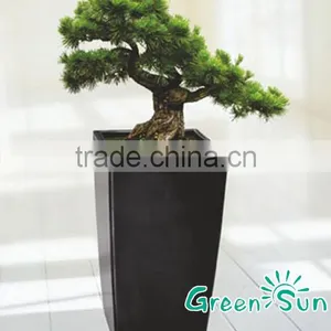 Transparent Plastic Orchid Pot With Self Watering Planters thumbnail-5