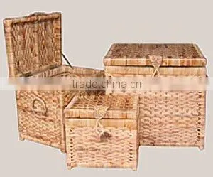 Trunk Set 3 thumbnail-1