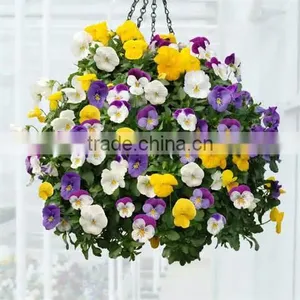 SOL Decorative Hanging Flower Vase Plastic Planter Plastic Hanging Basket thumbnail-2