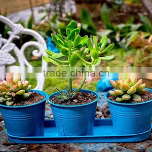 Metal Planters Set Metal Flower Pot Set With Tray for Home Decor thumbnail-1