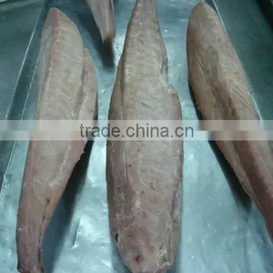 Tuna Loins thumbnail-1