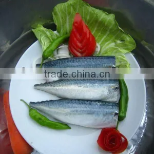 HG and HGT Horse Mackerel thumbnail-1