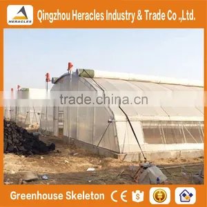 Heracles Economical Plastic Commercial Low Cost Multi Span Plastic Greenhouses With Automatic Irrigation System thumbnail-4