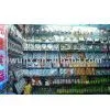 Agent,purchase Agent,export Agent in Yiwu thumbnail-1