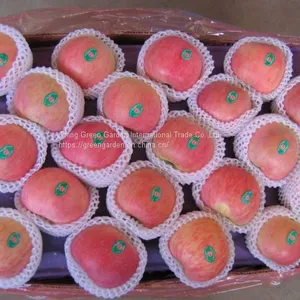 Chinese Fuji Apple thumbnail-2