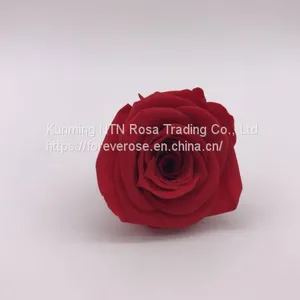 High Quality Timeless Preserved Flower to Make Gorgeous Flower Gifts thumbnail-3
