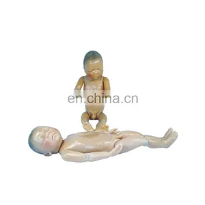 85cm Anatomy Human Organs Model for Medical Teaching Aids for Sale thumbnail-4