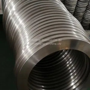 Open Die Forging Parts, Seamless Rolled Rings thumbnail-2