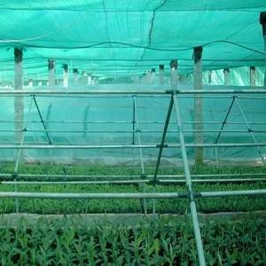 HDPE Monofilament Green Shade Net 50% 75% Shading Plants Windbreaker Shade Cloth thumbnail-4