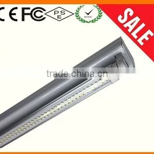 t- 8led 20w Best Ratio of Light Hot Sale on USA LED Grow Light for Indoor House thumbnail-2