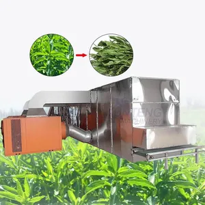 Industrial Stevia Leaf Dryer Heat Pump Herbs Lemongrass Drying Equipment EPC thumbnail-1