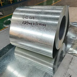 Galvanised Steel Coil Steel Galvanized Gi Sheet Galvanized Steel Coil SGCC 1.0 1.2mm 1000 1220 1250mm Fire Door Manufacturing thumbnail-1