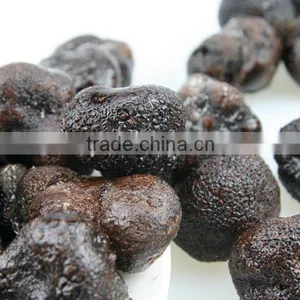 Black Truffle thumbnail-3