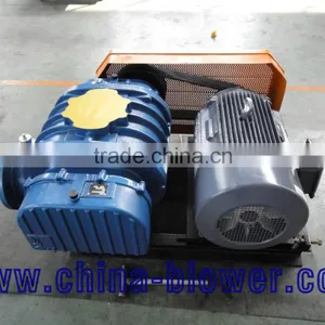 Roots Vacuum Pump Gas thumbnail-3