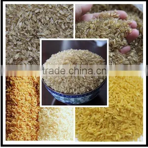 High Effciency and Energy Saving Nutritional Rice Processing Line/equipment thumbnail-3