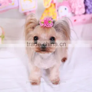Pet Apparel & Accessories Type 2016 New Dog Apparel Cute Beauty Pet Accessories thumbnail-2