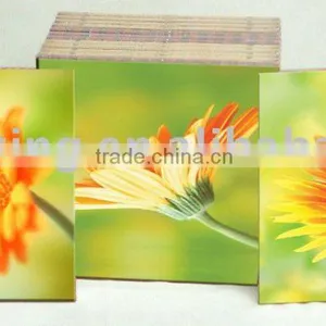PAPER CANVAS thumbnail-1