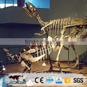 Life-Size Jurassic Park Dinosaur Fossil thumbnail-6