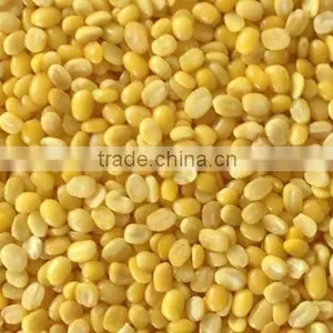 Green Mung Bean Split Dhall thumbnail-1