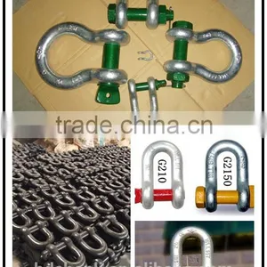 High Quality Square Head D Shackle thumbnail-4