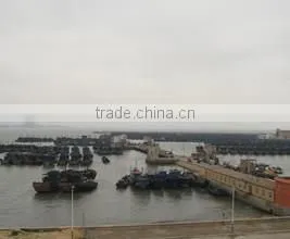 Shishi G-Shield Seafood Technology Co., Ltd. company overview - view 3 thumbnail