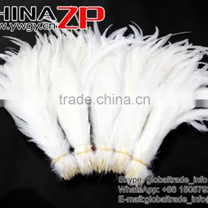 Top Supplier ZPDECOR Bulk Sale 35-40cm Length Natural Bleached White Fully Dyed Rooster Chicken Feathers thumbnail-2