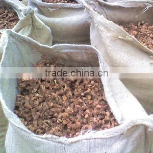 Guangdong Natural Galangal Roots thumbnail-4
