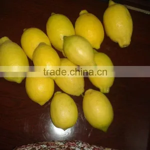 Fresh Lemon thumbnail-1