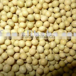 Yellow Soybean/soya Bean thumbnail-1