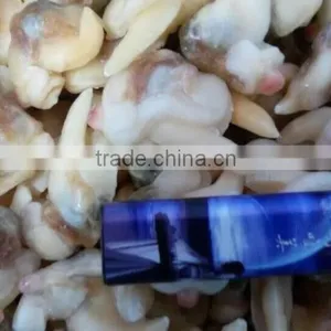 Frozen Boiled Surf Clam Meat With Stomach Removed thumbnail-5