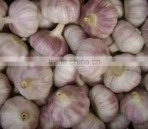 Chinese Normal White Fresh Garlic, 2016 Crop High Quality thumbnail-1