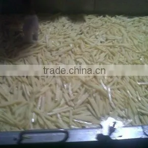 French Fries thumbnail-1